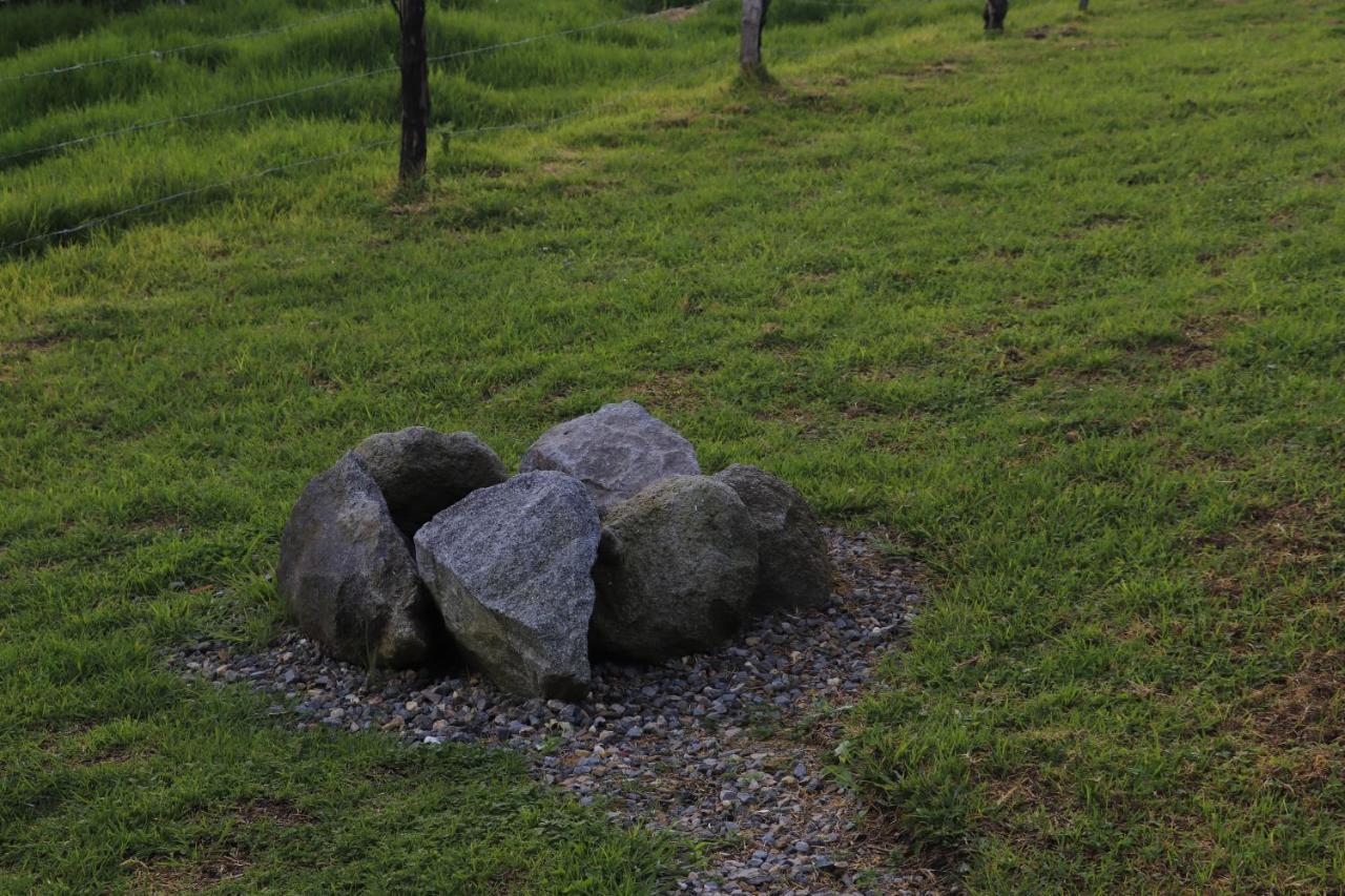 Cabanas La Montanuela Llano Grande  エクステリア 写真